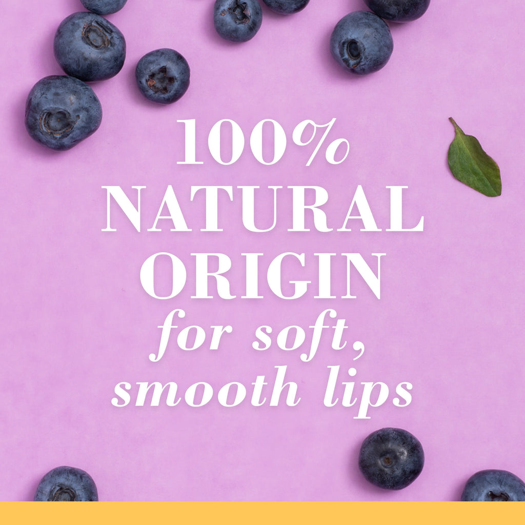 Burt's Bees Tinted Squeeze Wax Berry Sorbet Peggable 36/0.43oz
