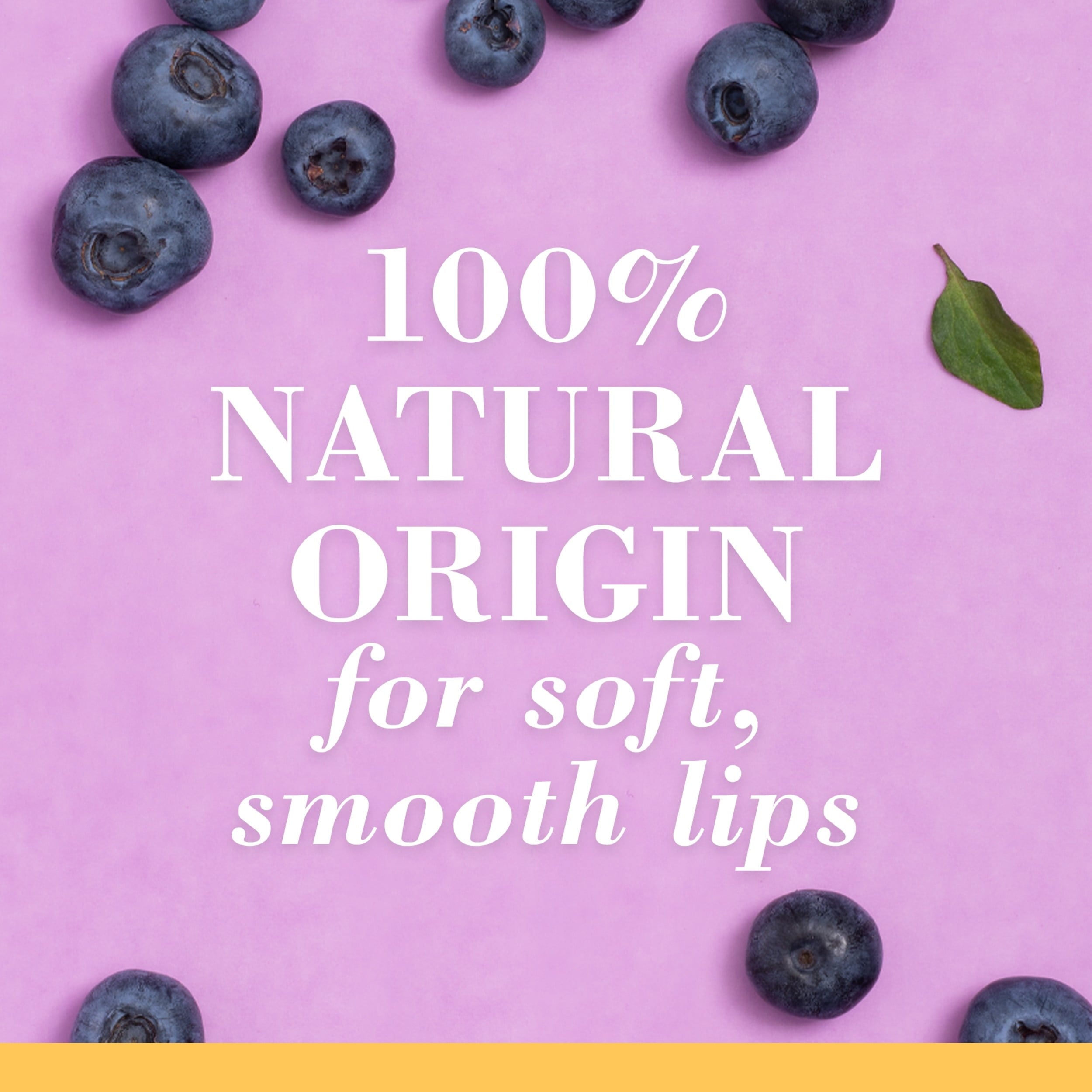 Burt's Bees Tinted Squeeze Wax Berry Sorbet Peggable 36/0.43oz