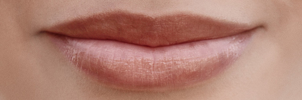 Burt's Bees 100% Natural Tinted Lip Balm, Red Dahlia with Shea Butter & Botanical Waxes - 1 Tube