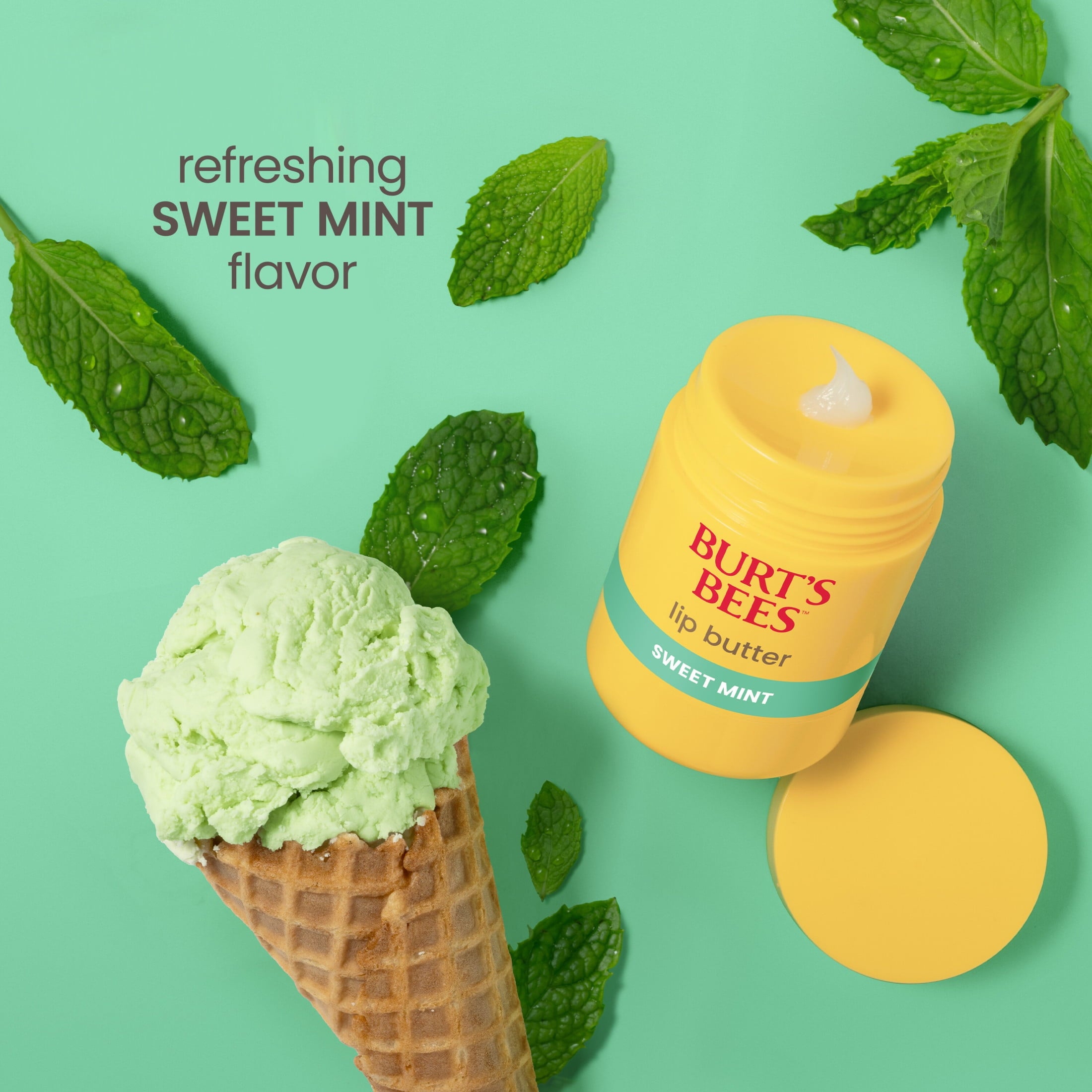 Burt's Bees Lip Butter Balm, Sweet Mint