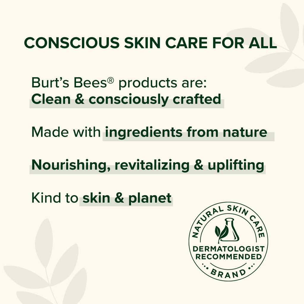Burts Bees 100% Natural Origin Moisturizing Lip Balm, Original Beeswax, 2 Tube