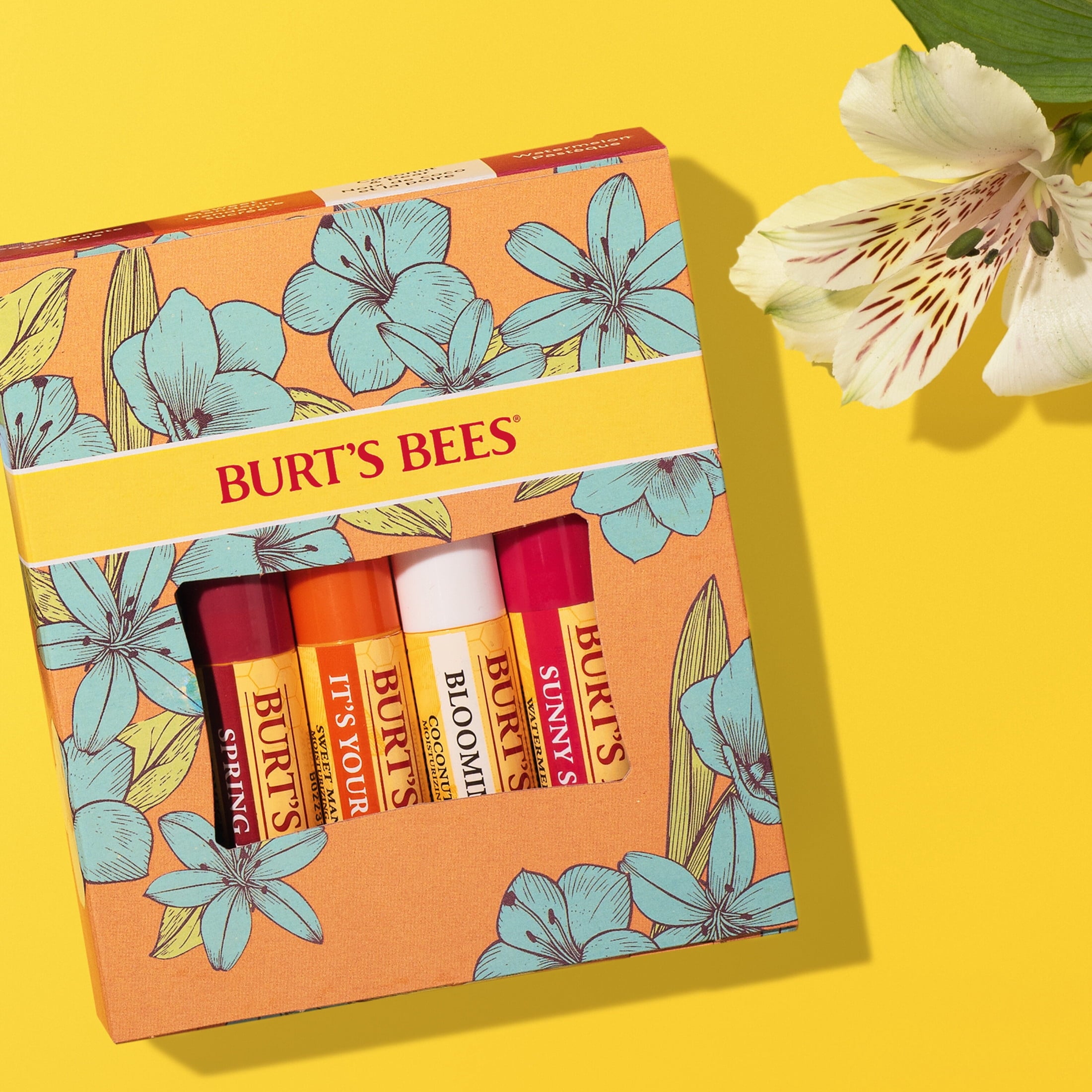 Burt's Bees Beeswax Bounty Just Picked Lip Balm Gift Set, 4-Pack, 0.15 oz.